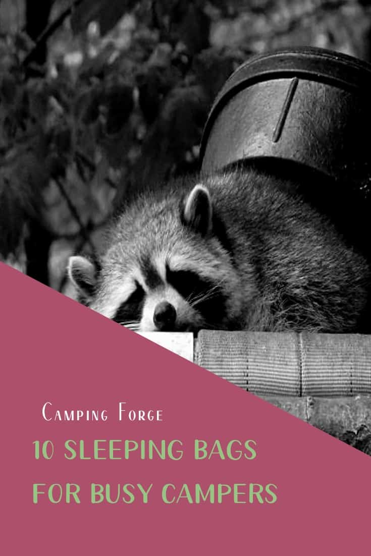 Pinterest image for 10 Sleeping Bags For Busy Campers