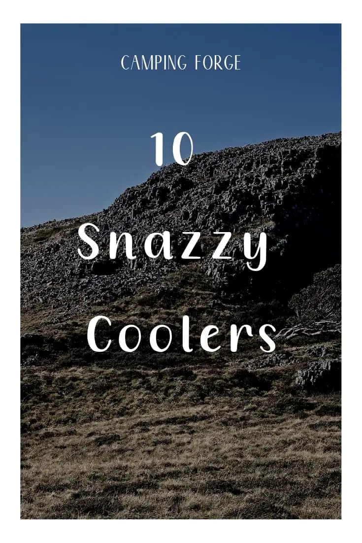 Pinterest image for 10 Snazzy Coolers