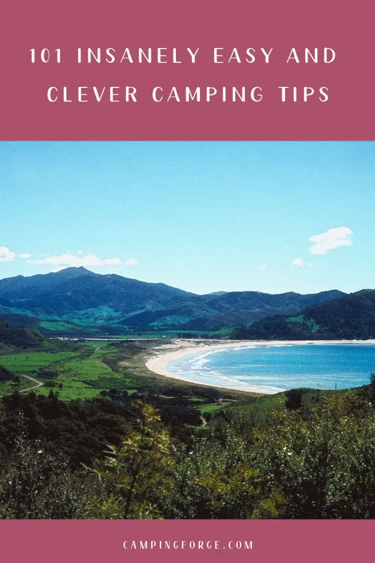 Pinterest image for 101 Insanely Easy And Clever Camping Tips