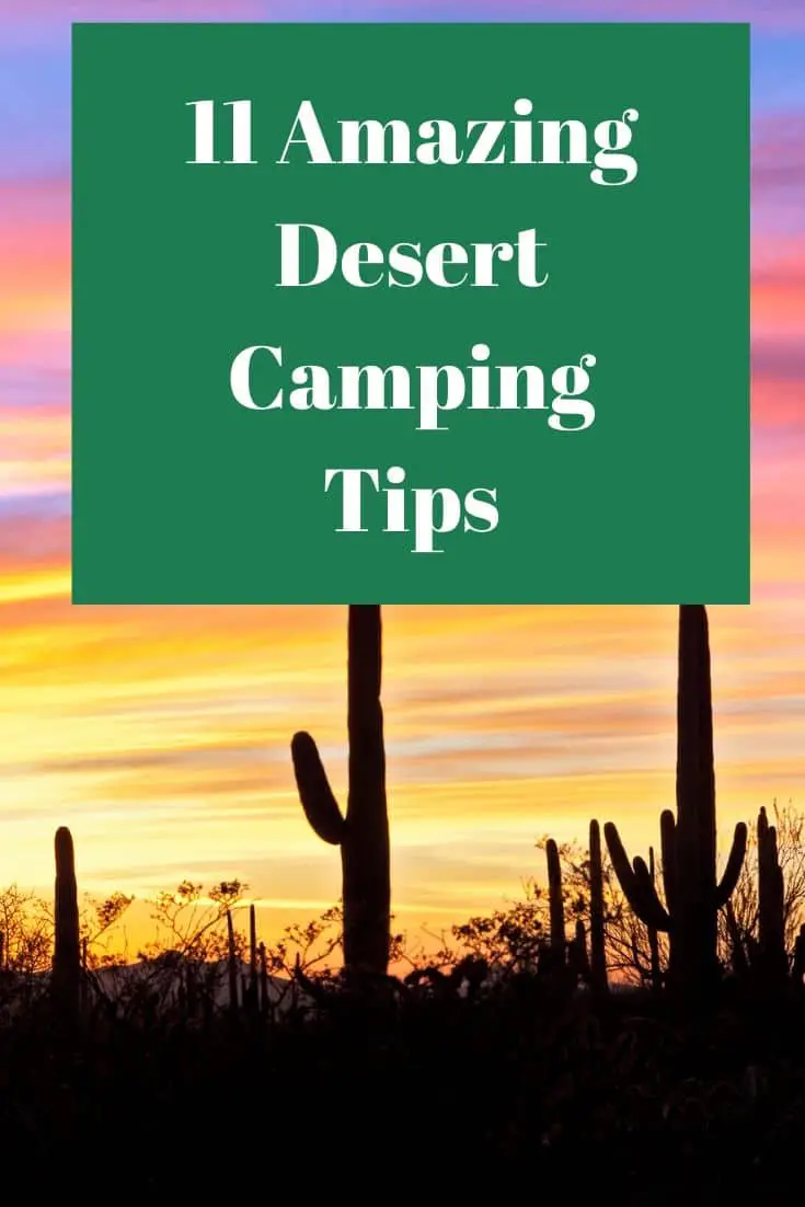 Pinterest image for 11 Amazing Desert Camping Tips
