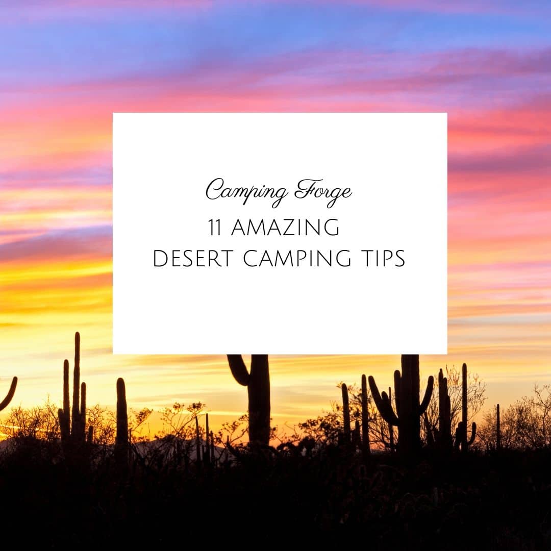 11 Amazing Desert Camping Tips