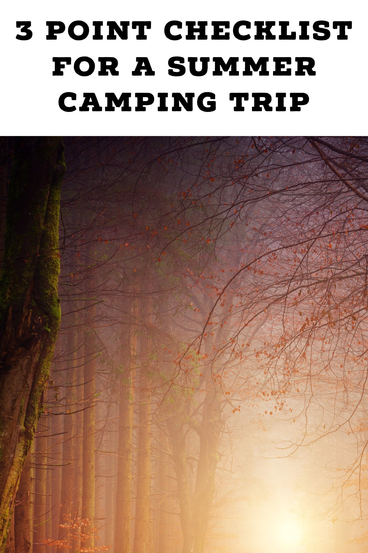 Pinterest image for 3 Point Checklist For A Summer Camping Trip