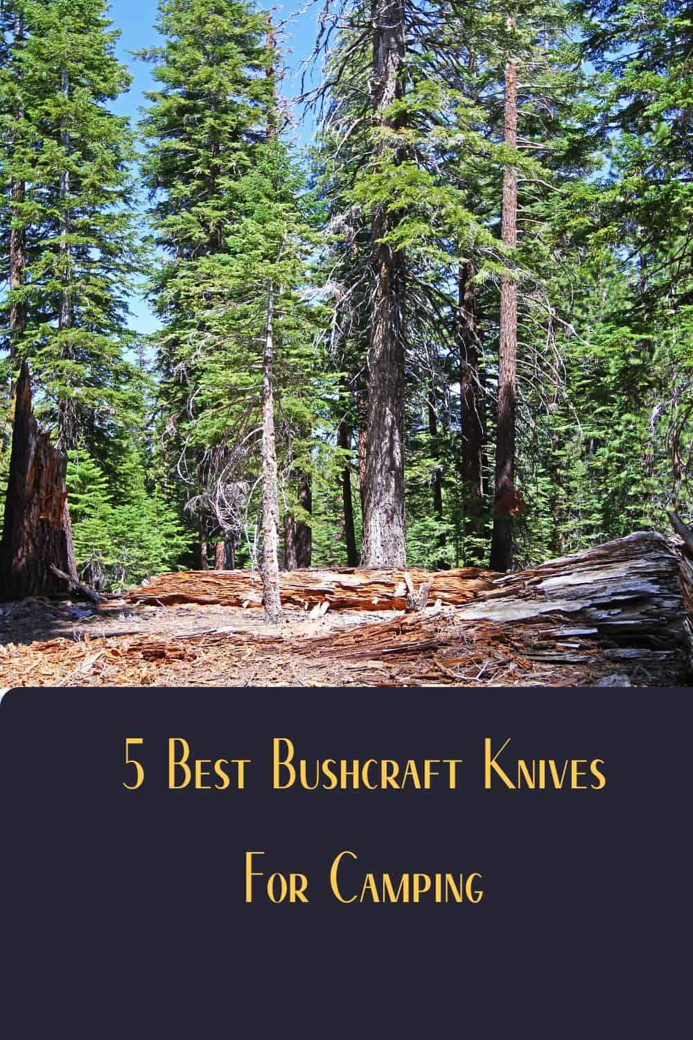 Pinterest image for 5 Best Bushcraft Knives For Camping