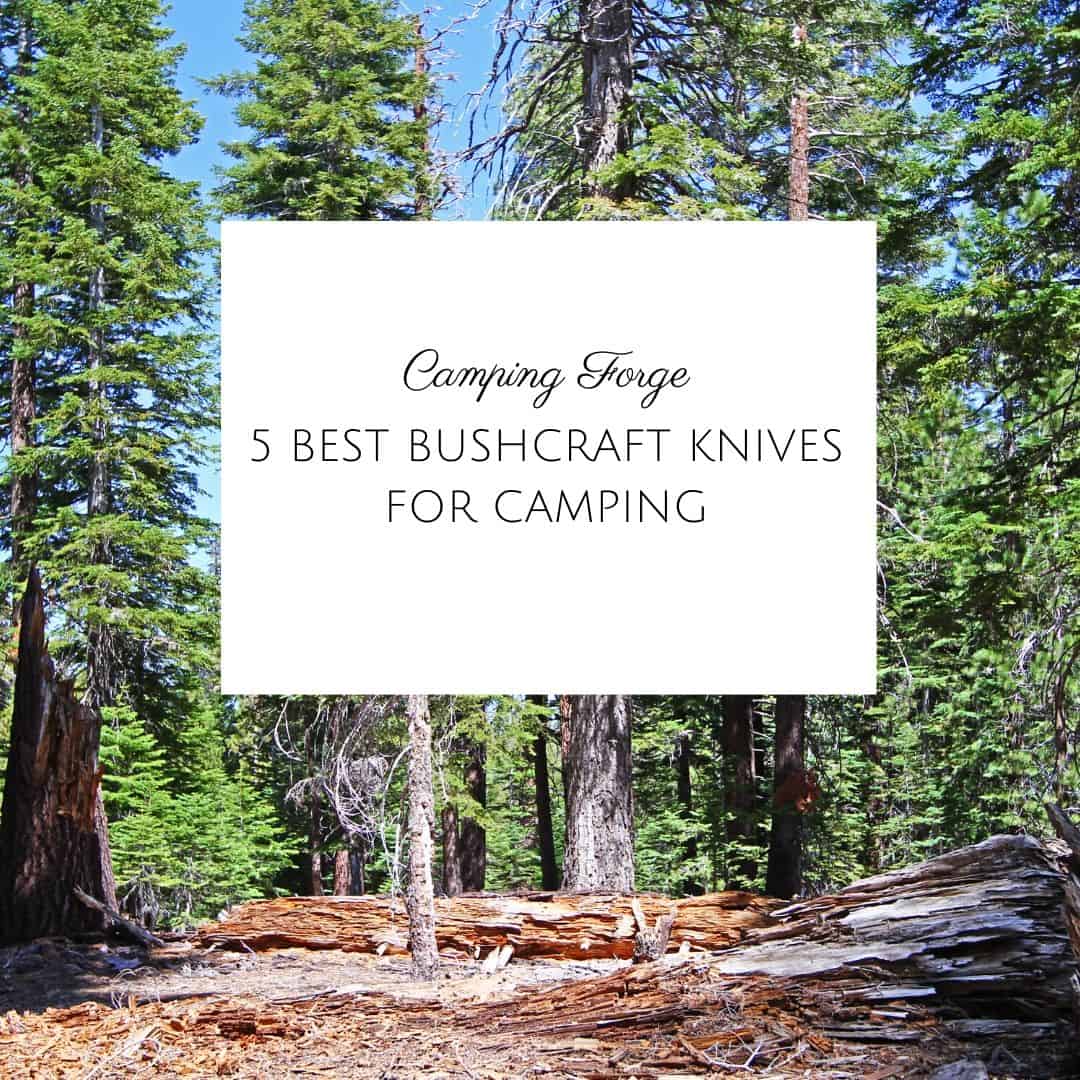 5 Best Bushcraft Knives For Camping