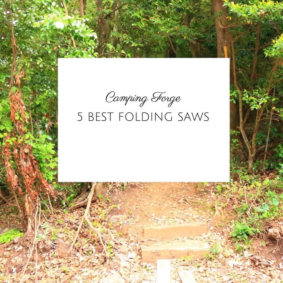 5 Best Folding Saws