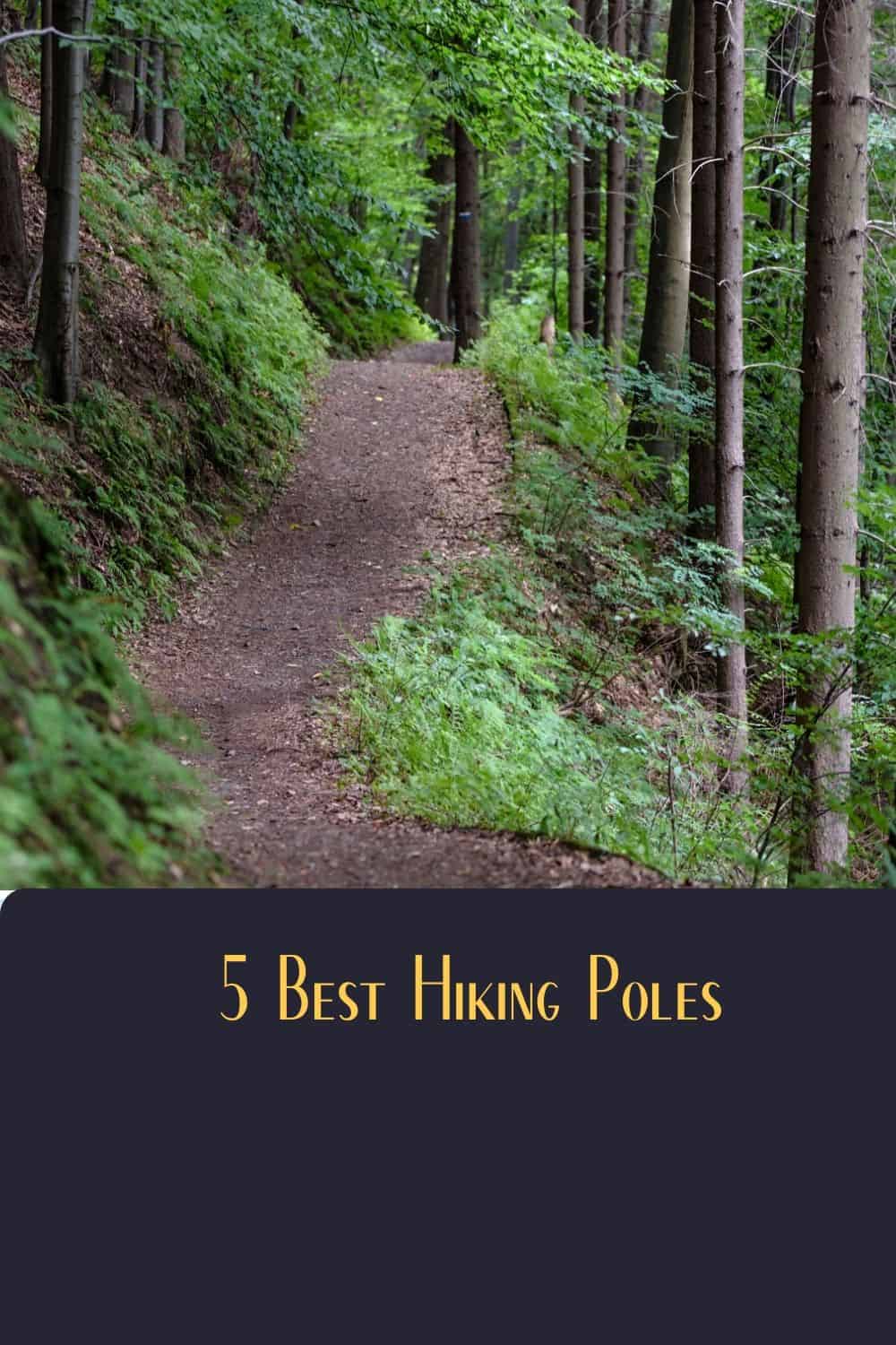 Pinterest image for 5 Best Hiking Poles