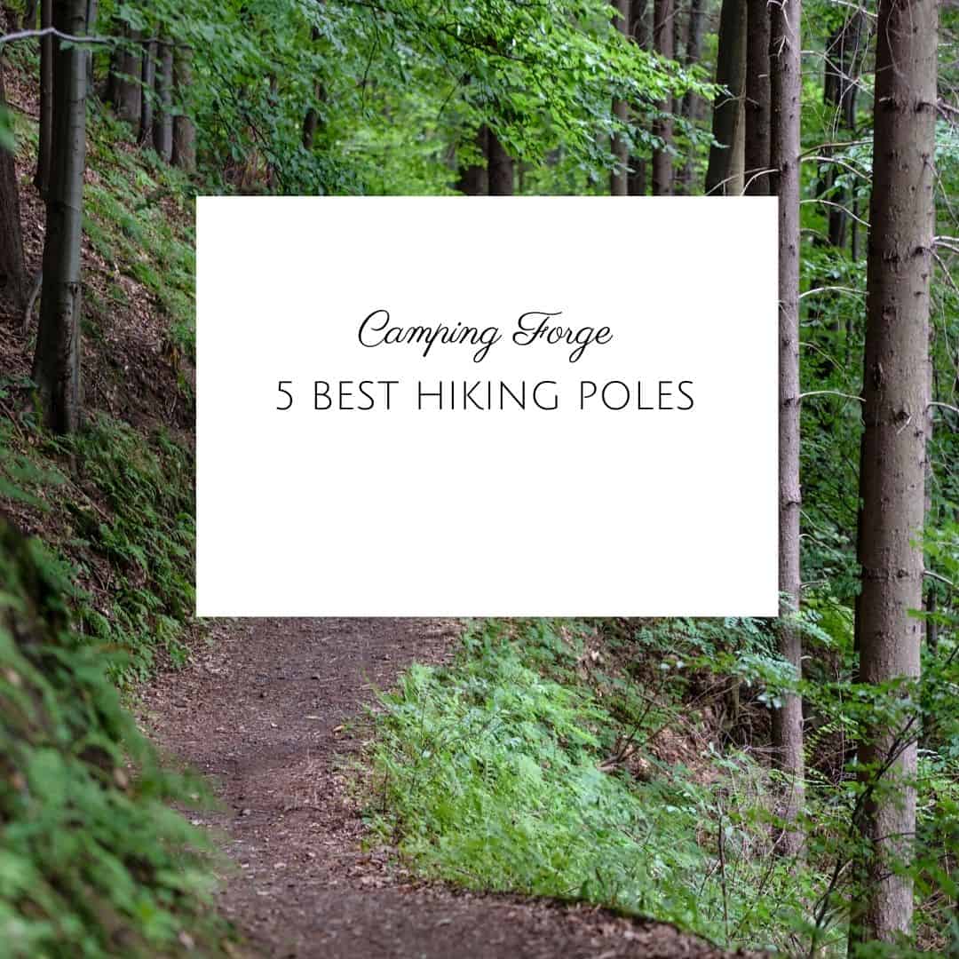 5 Best Hiking Poles