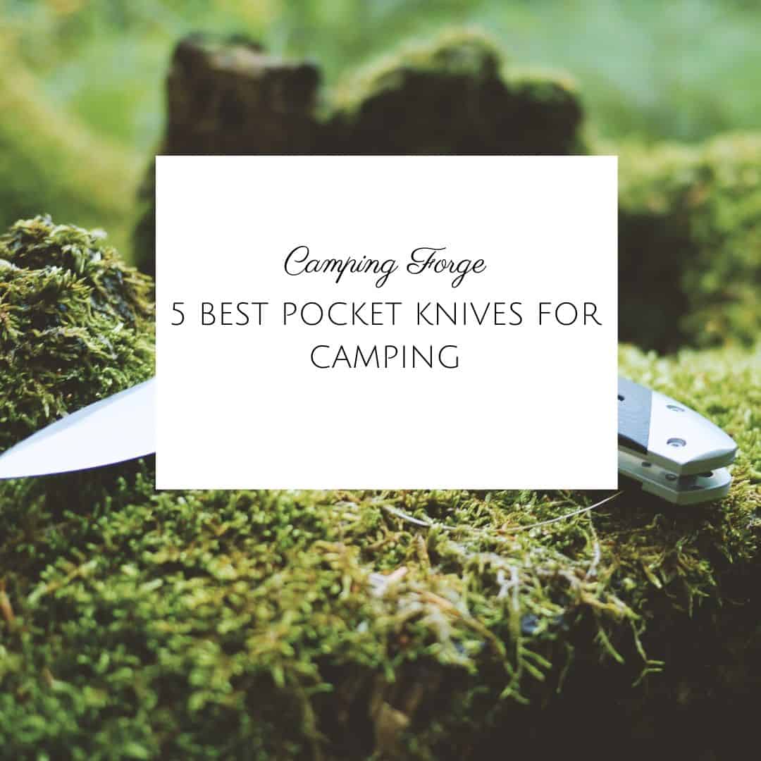 5 Best Pocket Knives For Camping
