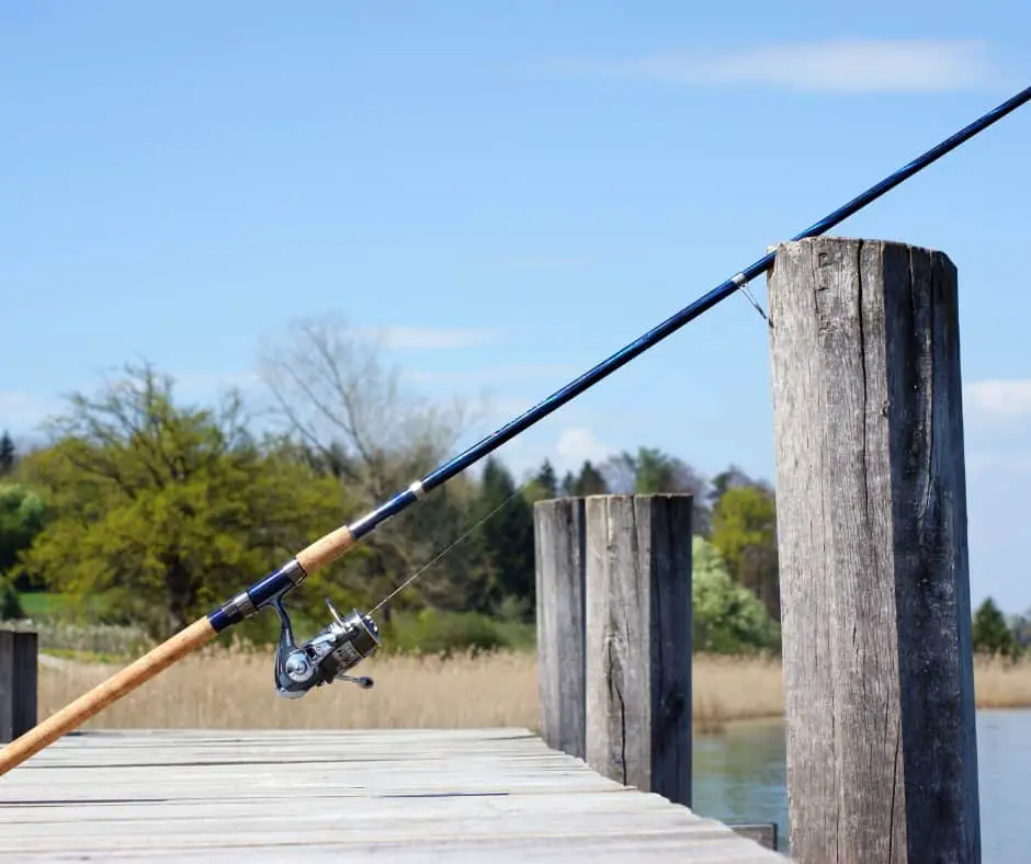 6 Secret Fishing Tips and Techniques For More Fish