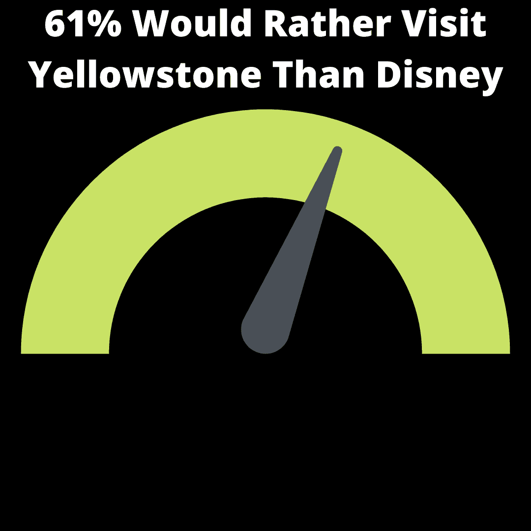 61% Would Rather Visit Yellowstone Than Disney infographic