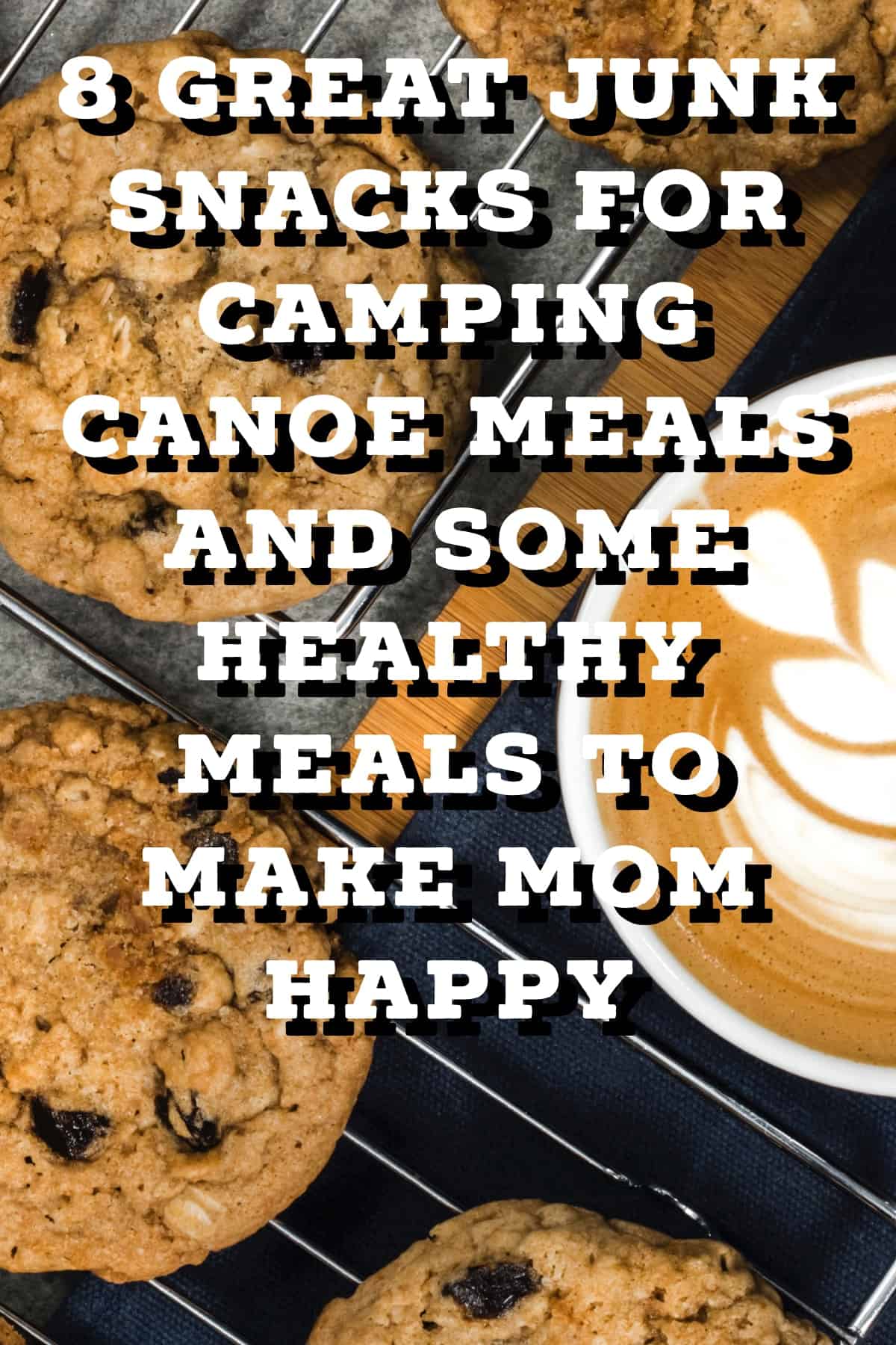 Pinterest image for 8 Great Junk Snacks For Camping Canoe Meals And Some Healthy Meals To Make Mom Happy