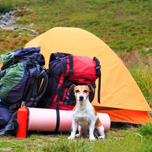 A Comprehensive Guide On How To Choose A Camping Shower