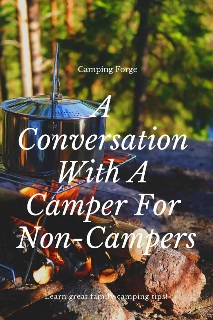 Pinterest image for A Conversation With A Camper For Non-Campers