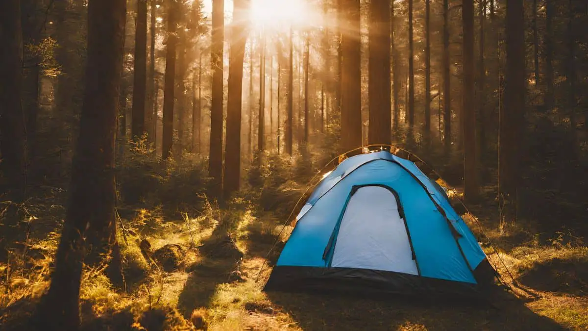 Photograph of camping tent in a forest with aluminum poles