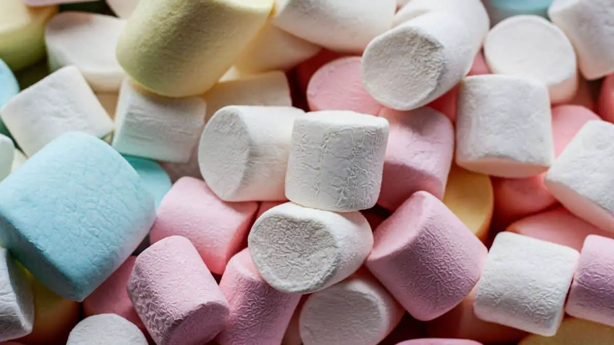 Are Marshmallows Dairy Free?