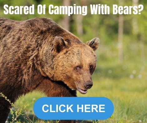 Photo of a brown bear with a button telling people to click here if they are scared of camping with bears.