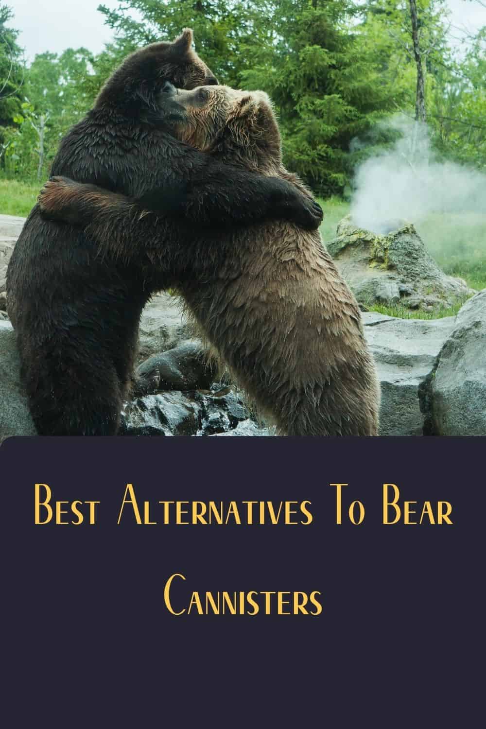 Pinterest image for Best Alternatives To Bear Cannisters
