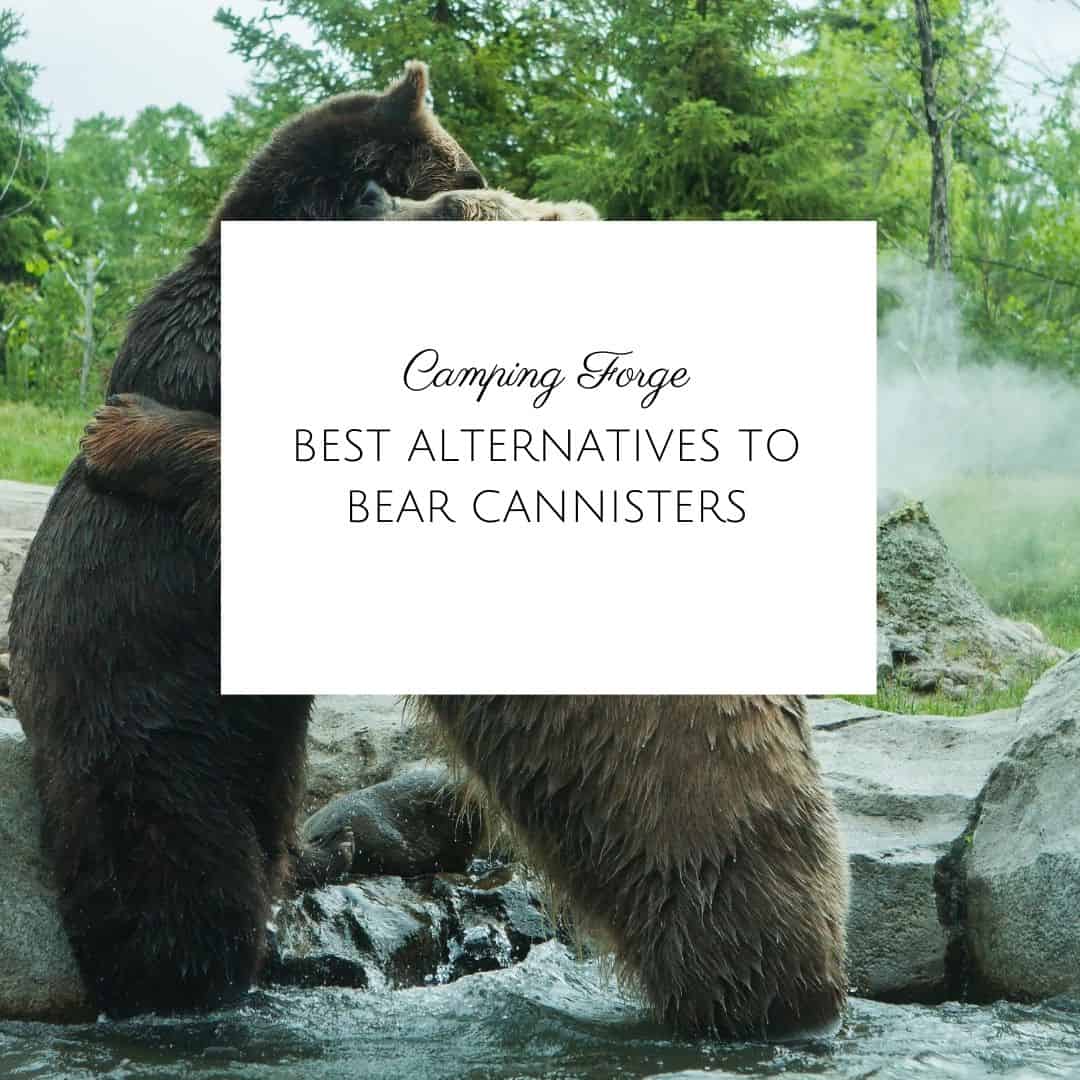 Best Alternatives To Bear Cannisters