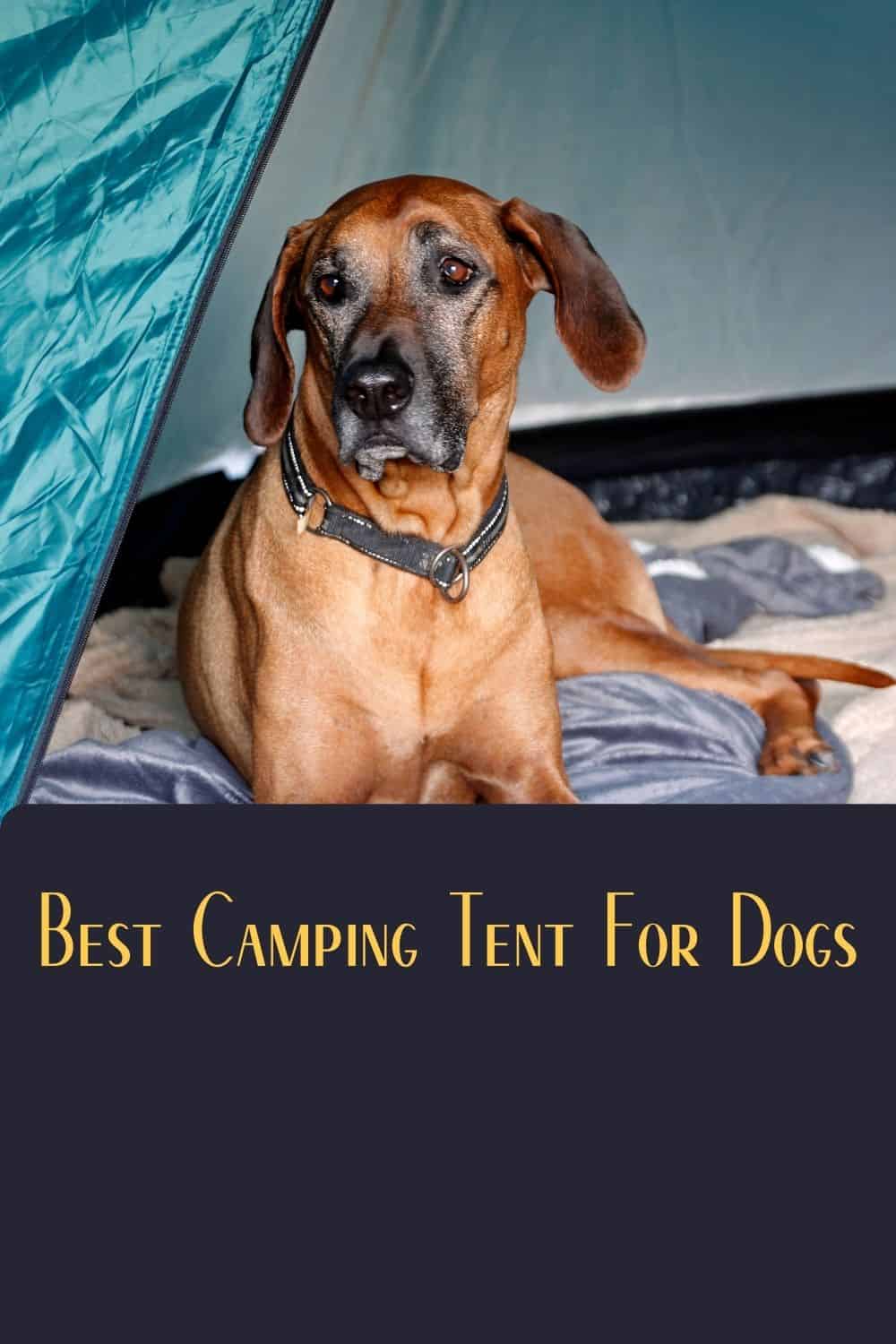 Pinterest image for Best Camping Tent For Dogs