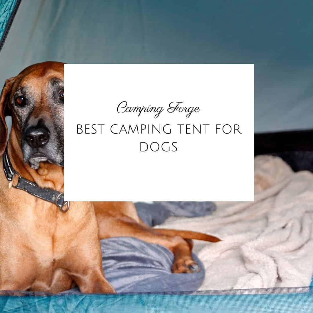 Best Camping Tent For Dogs