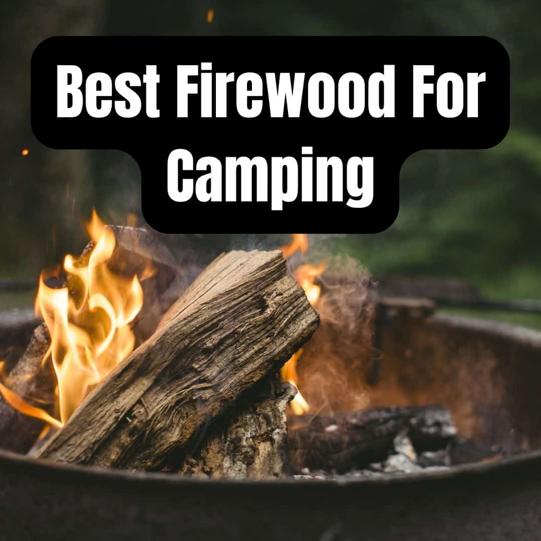 Best Firewood For Camping