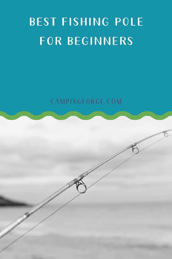 Pinterest image for Best Fishing Pole For Beginners