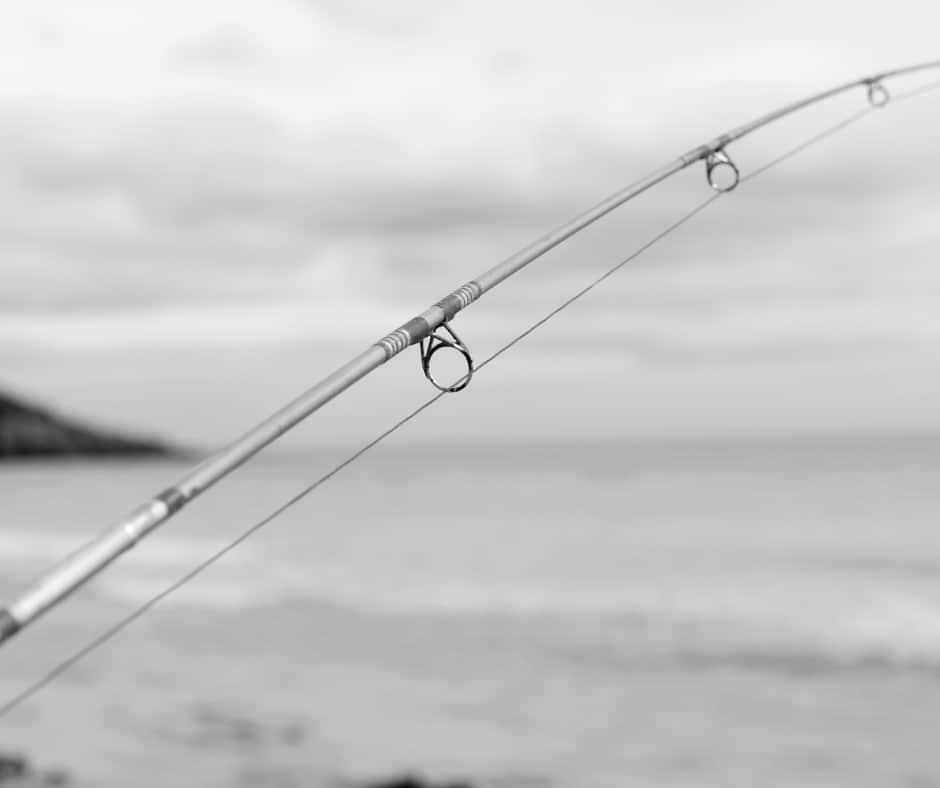 Best Fishing Pole For Beginners