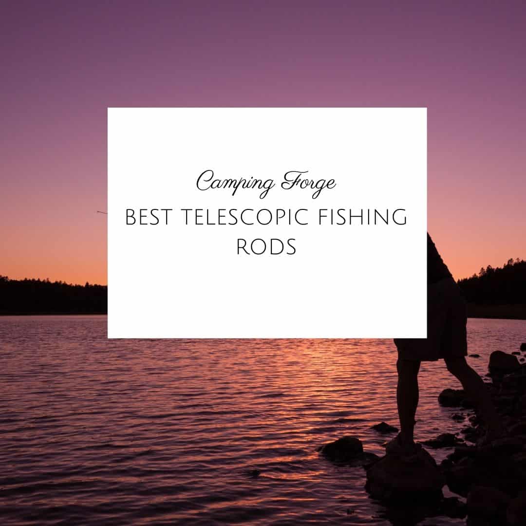 Best Telescopic Fishing Rods