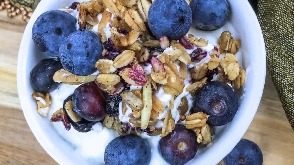 105 camping recipes campfireBlueberry Almond Granola