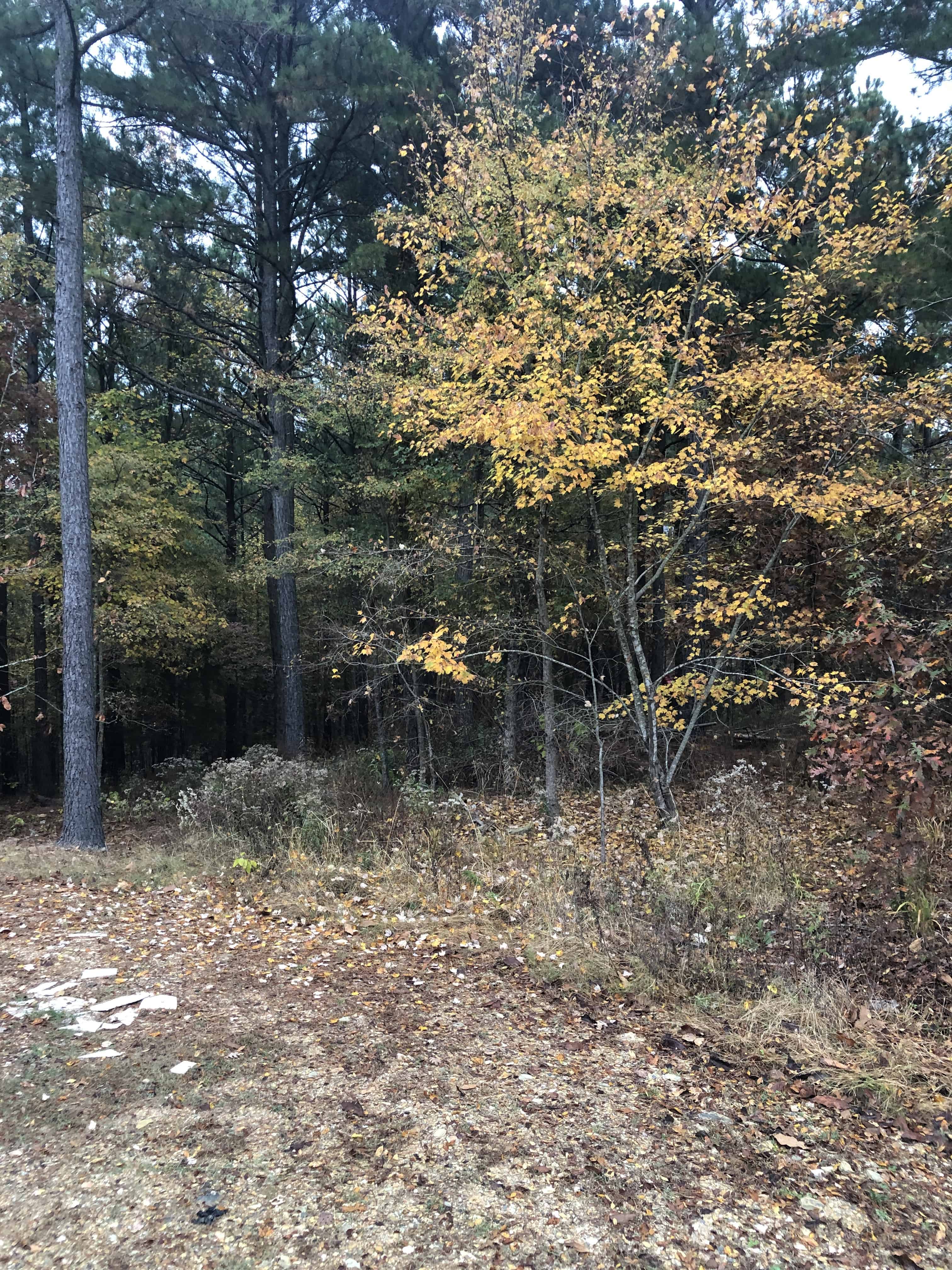 Broken Bow Oklahoma Campgrounds photograph