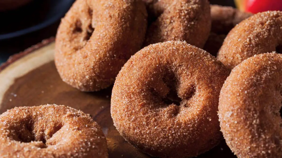 105 camping recipes Simple Dutch Oven Donuts