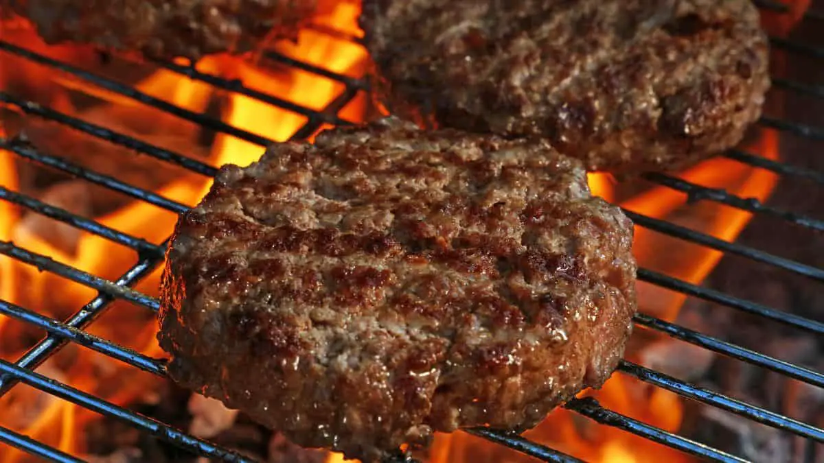 105 camping recipes grilled hamburgers photograph