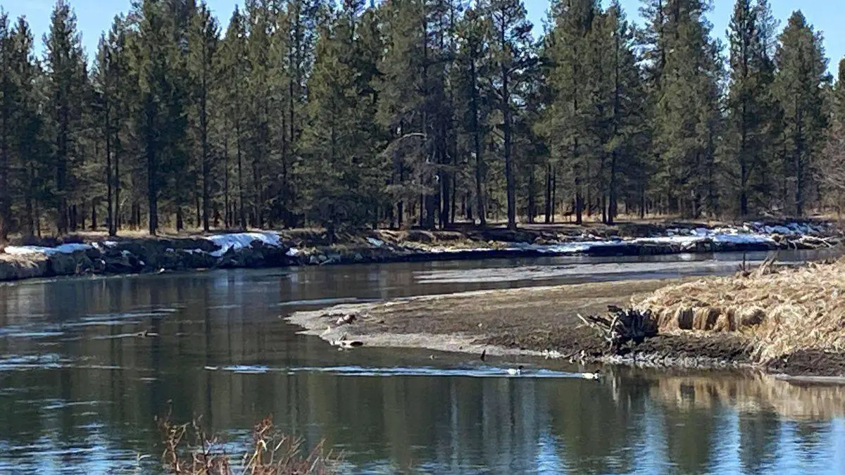 photograph of a winding river through mountains in California from an air mattress on a camping trip