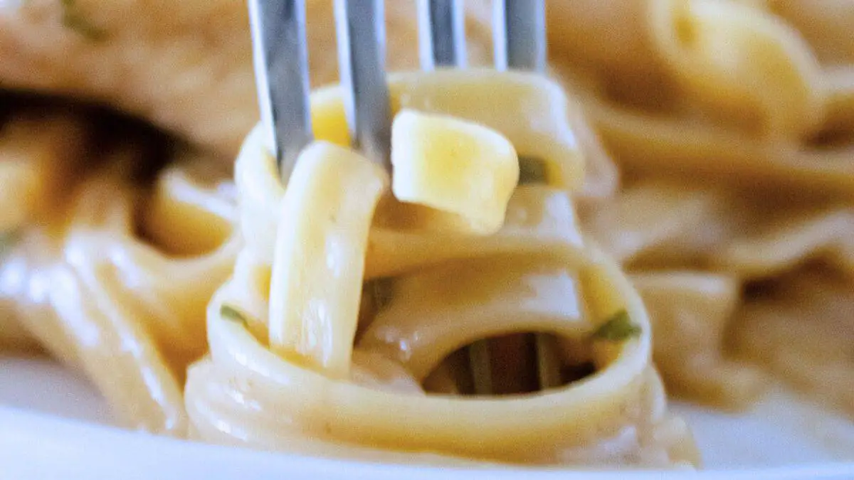 105 camping recipes Cream of Mushroom Chicken and Pasta 