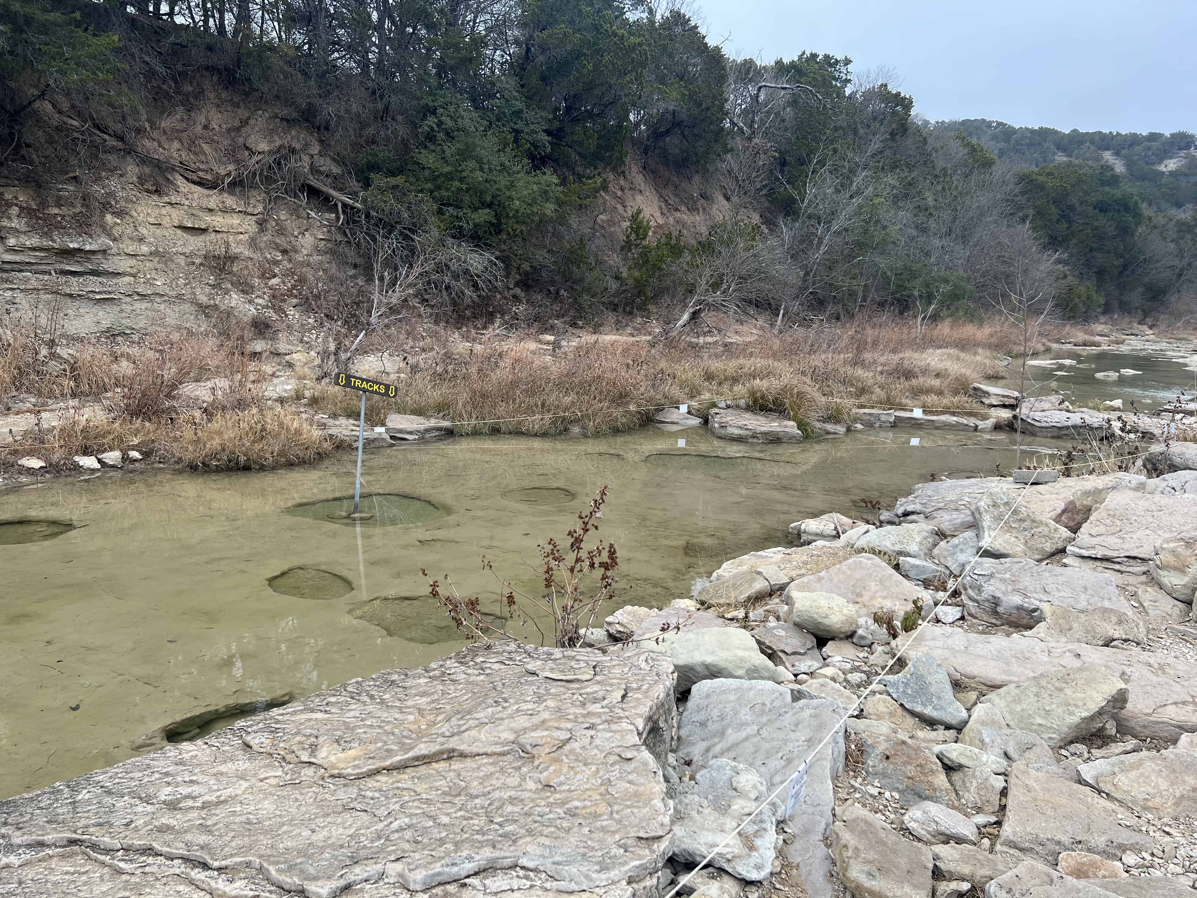 Fosselized dinosaur tracks at Dinosaur State Park Texas