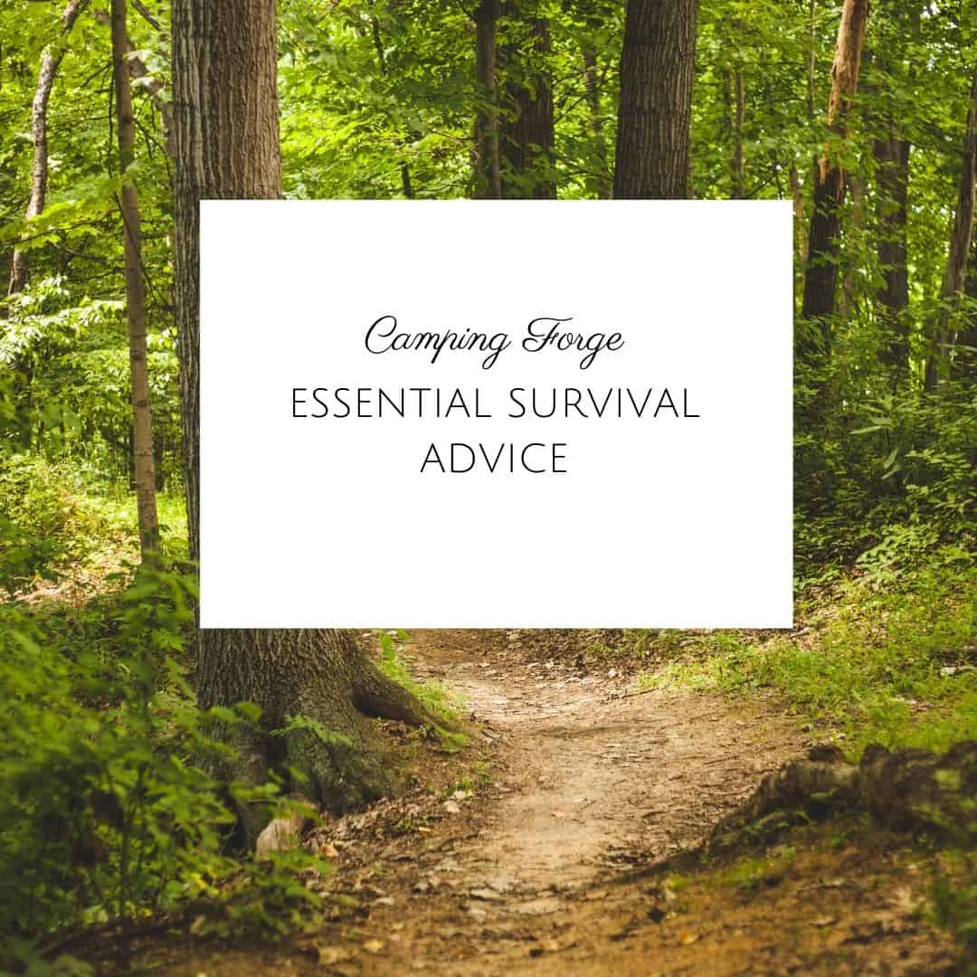 Essential Survival Advice