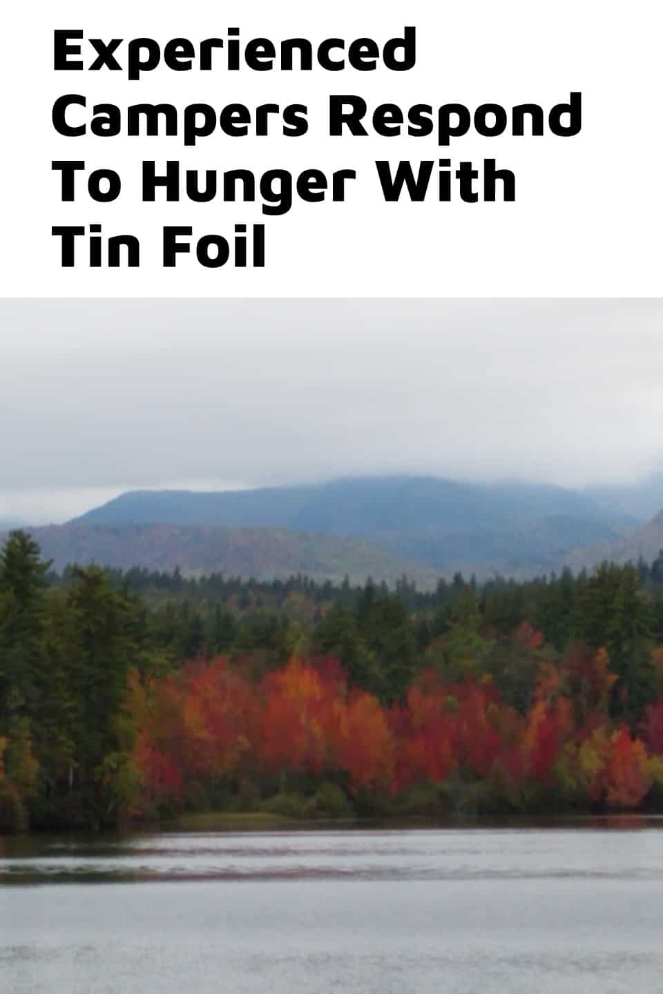 Pinterest image for Experienced Campers Respond To Hunger With Tin Foil
