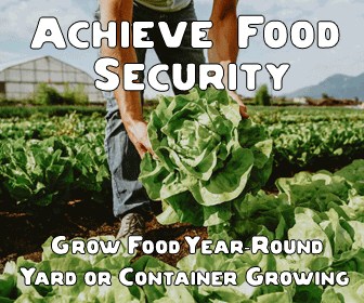 Banner ad for growing food all year round with container gardening
