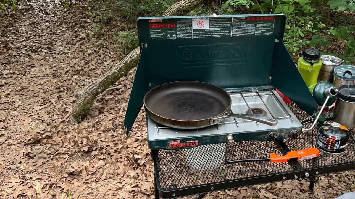 Stainless steel skillet on a camping stove