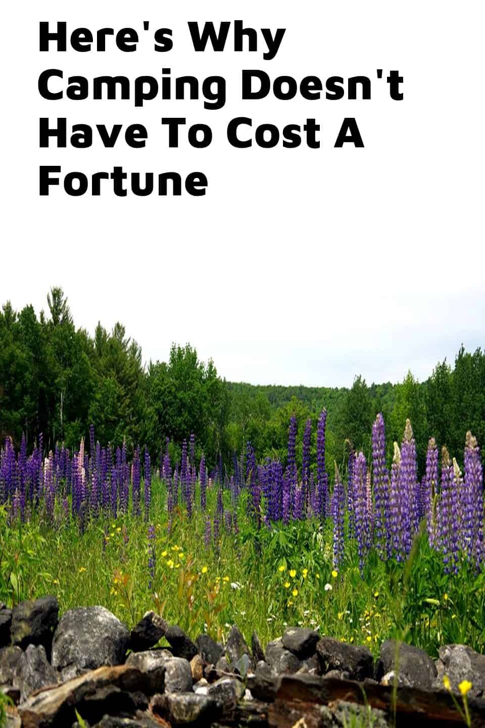 Pinterest image for Here's Why Camping Doesn't Have To Cost A Fortune