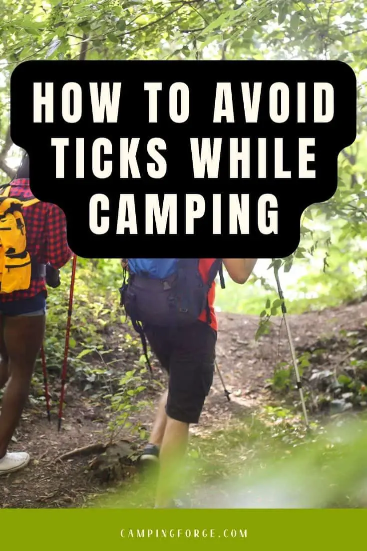 Pinterest image for How To Avoid Ticks While Camping