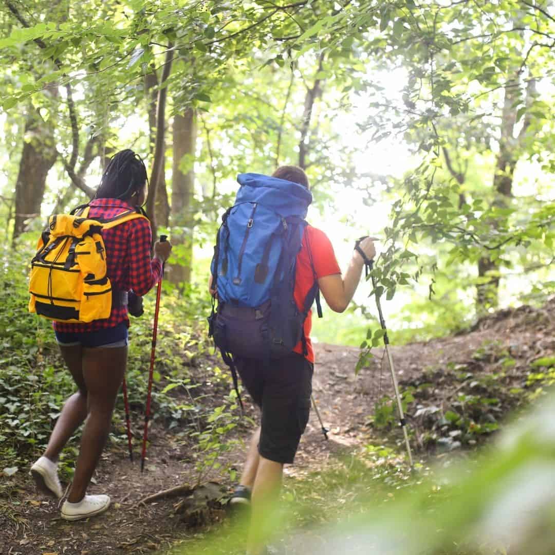 How To Avoid Ticks While Camping