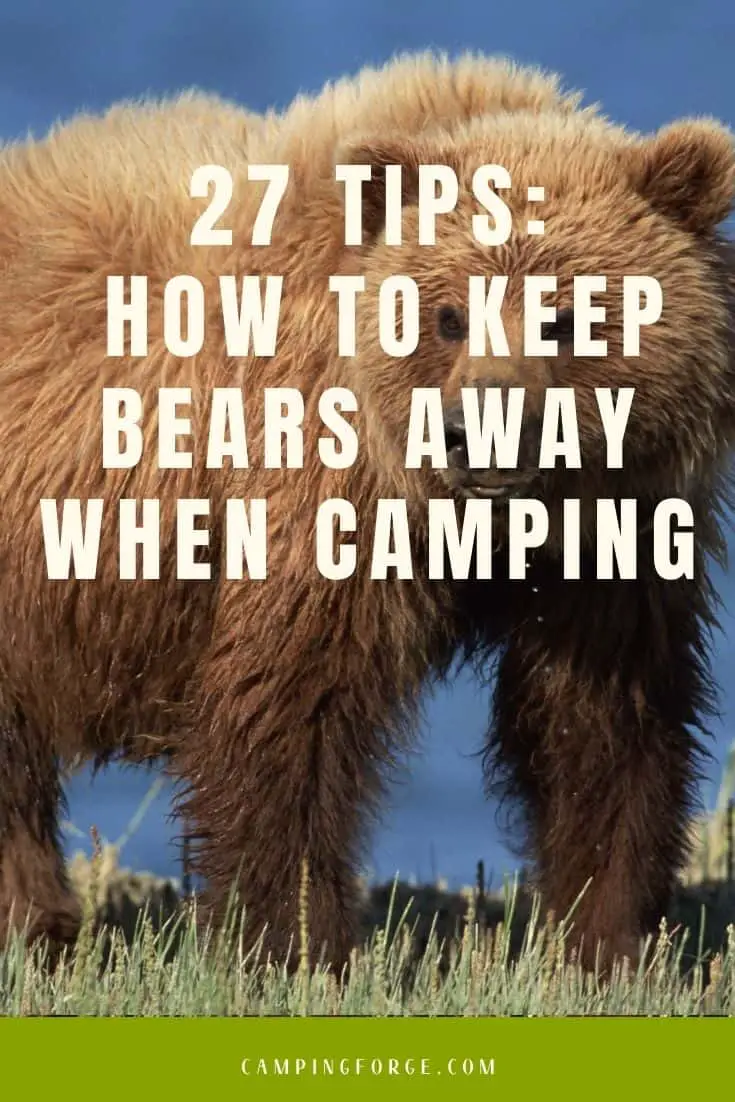Pinterest image for 27 Tips - How To Keep Bears Away When Camping