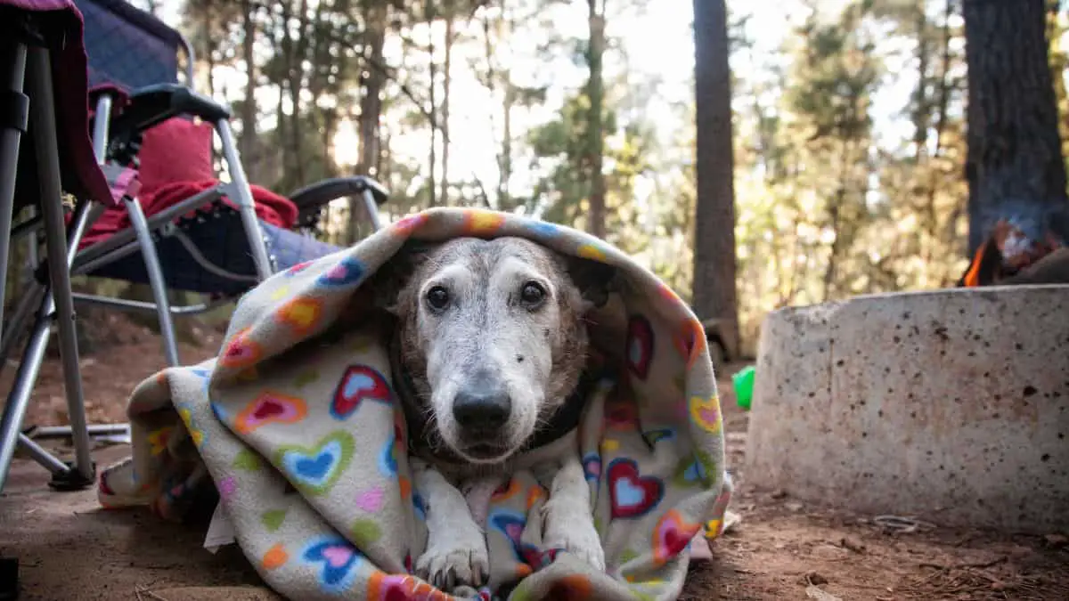 How To Look Cute While Camping