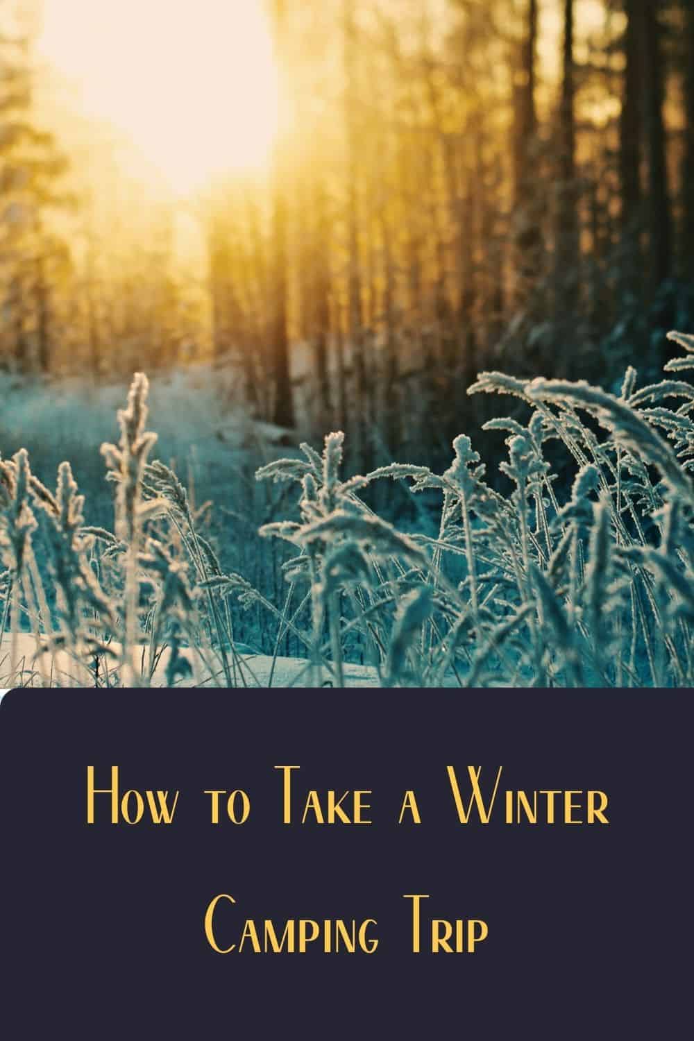 Pinterest image for How to Take a Winter Camping Trip