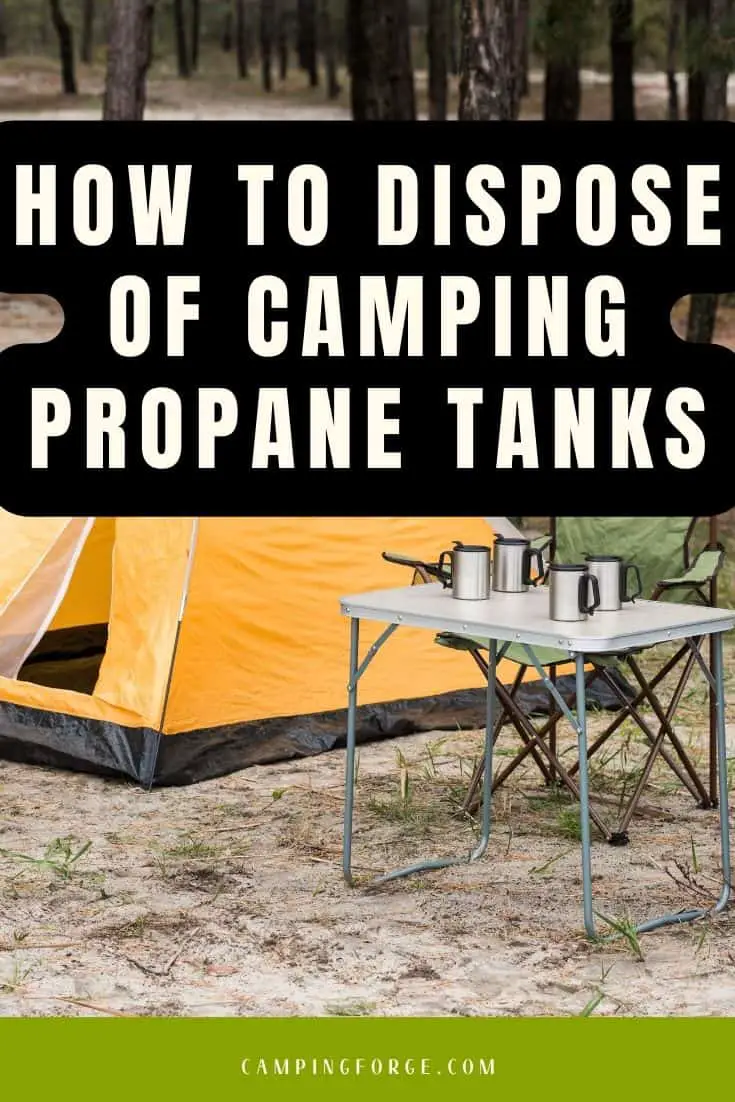Pinterest image for How To Watch TV While Camping