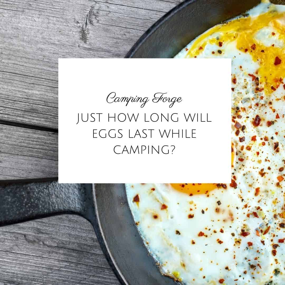 Just How Long Will Eggs Last While Camping?