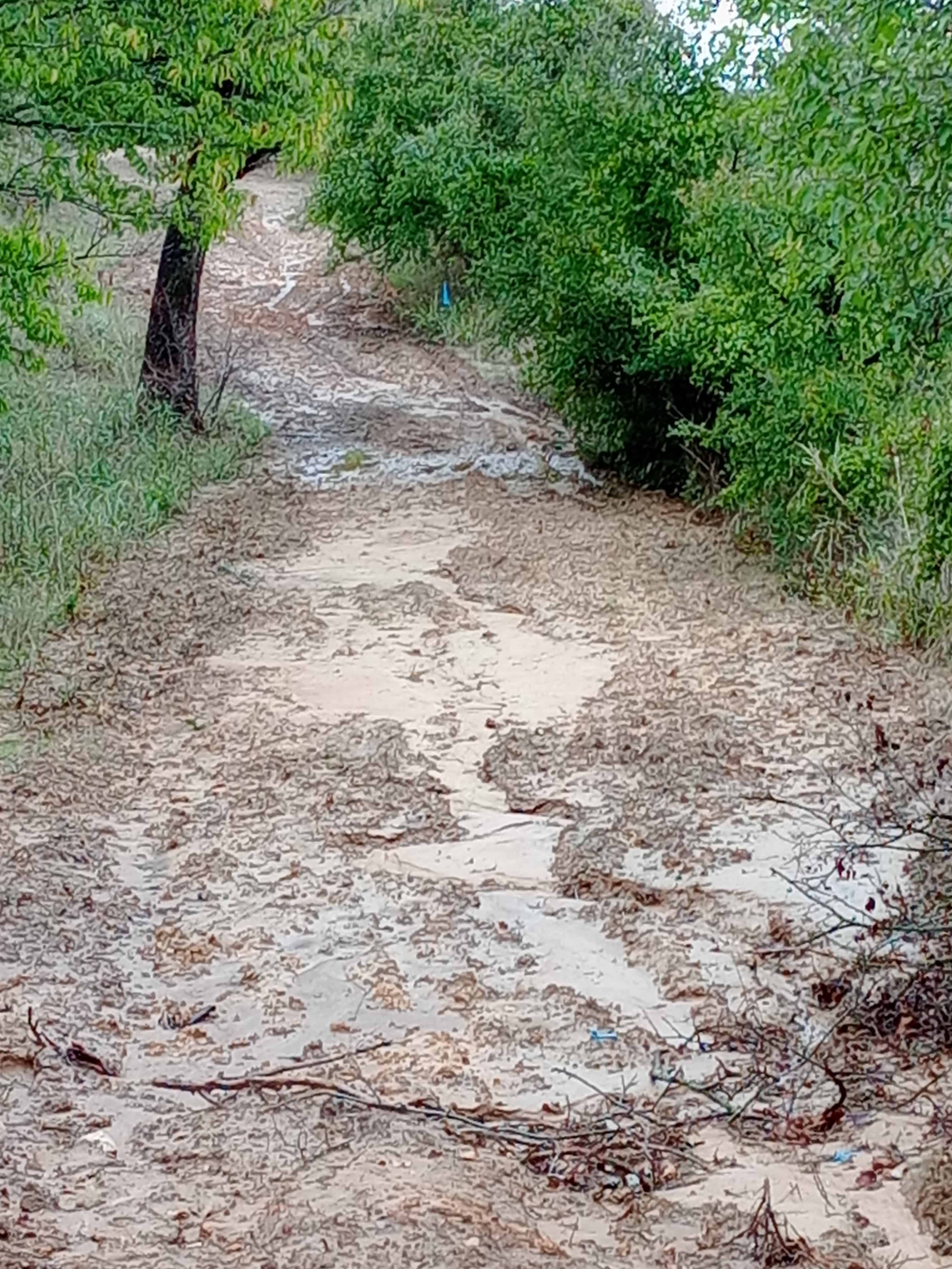 Photograph of a muddy trail at LBJ National Grasslands