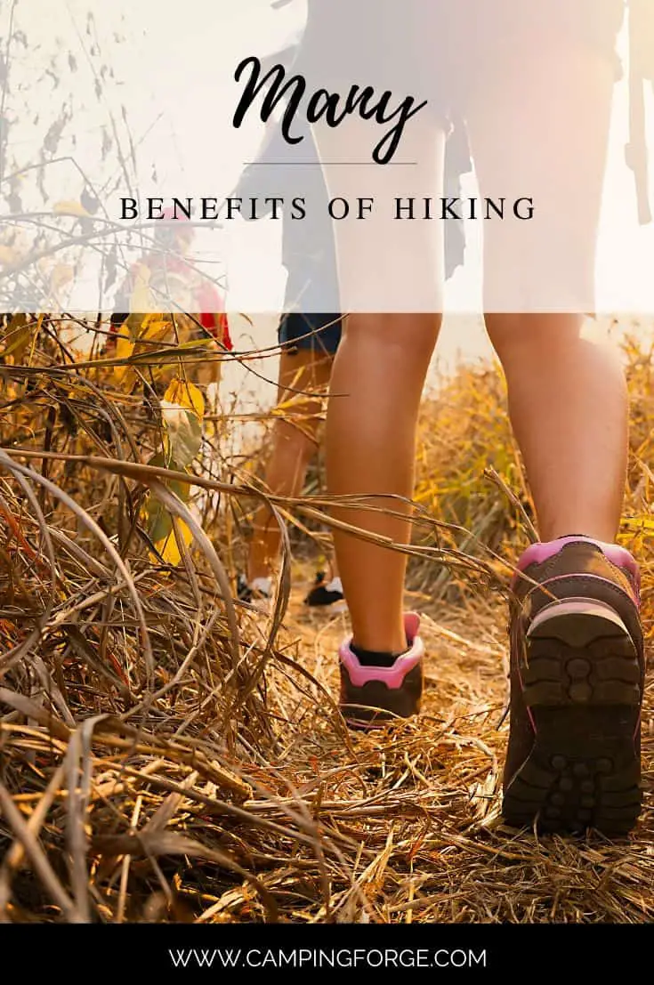 Pinterest image for Many Benefits of Hiking