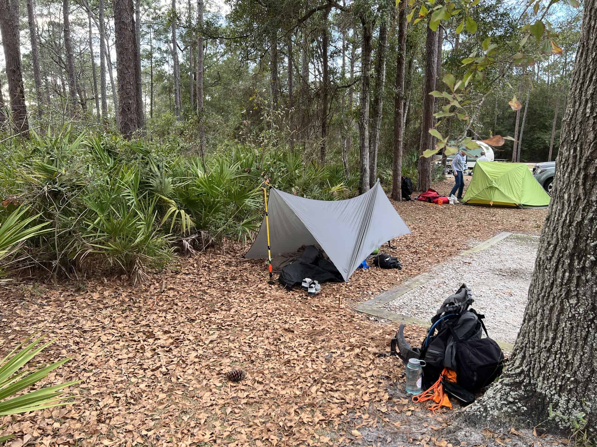 A tarp shelter with traditional tents in a forest in Florida